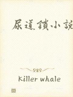 尿道锁小说