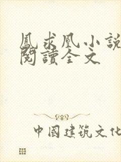 凤求凰小说免费阅读全文