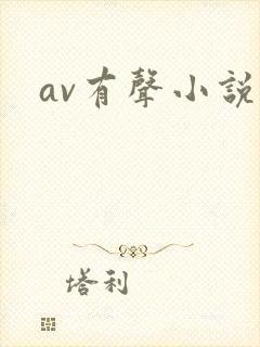 av有声小说