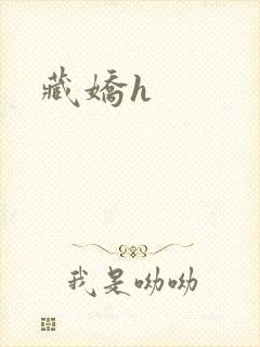 藏娇h