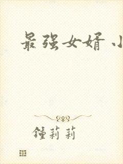 最强女婿 小说