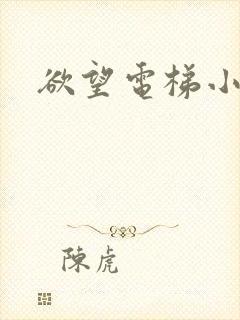 欲望电梯小说