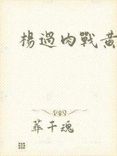 杨过肉战黄蓉