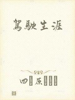 驾驶生涯