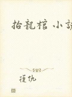 抬龙棺 小说
