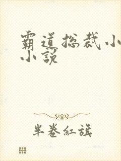 霸道总裁小娇妻小说