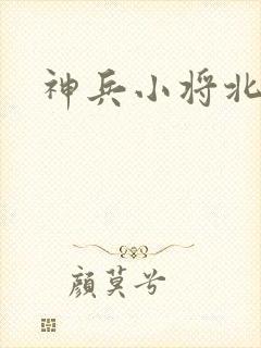 神兵小将北冥雪封面