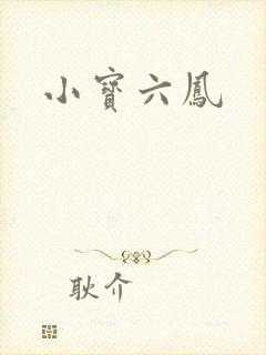 小宝六凤