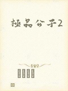 极品公子2封面