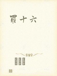 罗十六
