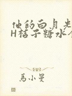 他的白月光HVH桔子糖水全文