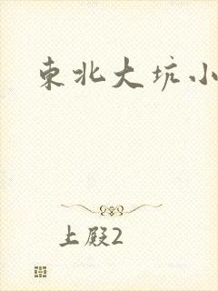 东北大坑小说封面