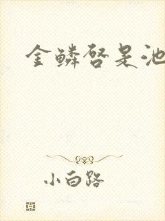 金鳞启是池中物封面