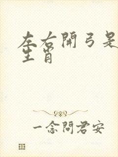 左右开弓是什么生肖