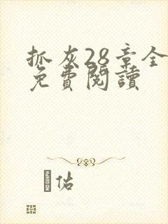 抓灰28章全部免费阅读