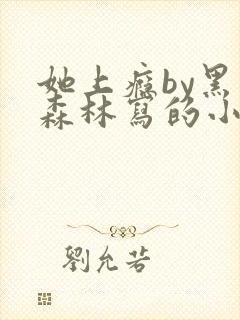 她上瘾by黑暗森林写的小说免费阅读无弹窗