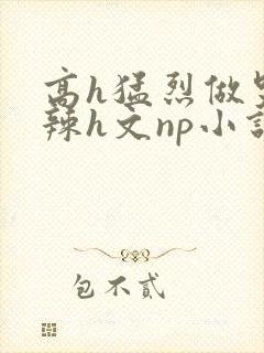 高h猛烈做哭高辣h文np小说封面