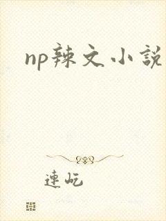 np辣文小说