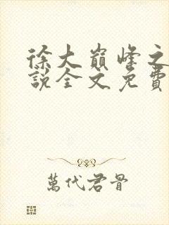 徐大巅峰之路小说全文免费阅读封面