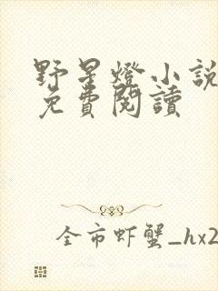野星灯小说全文免费阅读