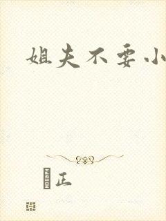 姐夫不要小说