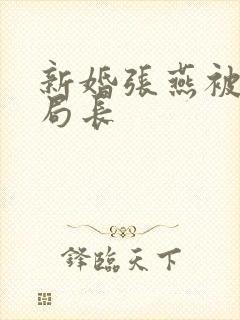 新婚张燕被两个局长封面