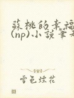 苏桃的幸福生活(np)小说笔趣阁