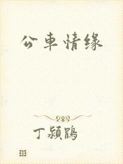 公车情缘
