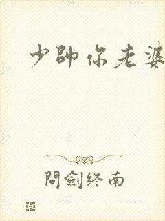 少帅你老婆封面