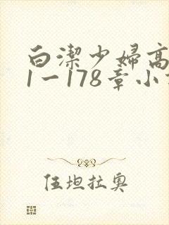 白洁少妇高义第1一178章小说