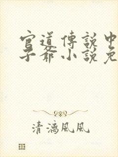 官道传说中的太子爷小说免费阅读