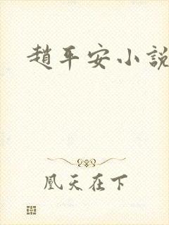 赵平安小说主角