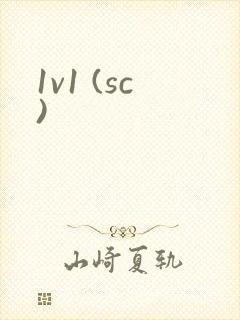 1v1 (sc)封面