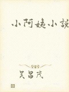 小阿姨小说