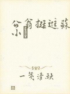 公翁挺进苏玥的小泬