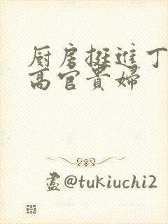 厨房挺进丁字裤高官贵妇封面