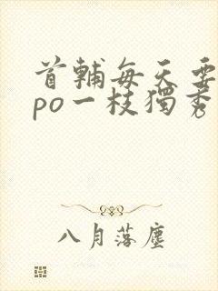 首辅每天要不够po一枝独秀全文封面