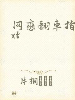 网恋翻车指南txt封面