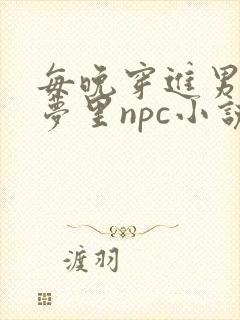 每晚穿进男神的梦里npc小说