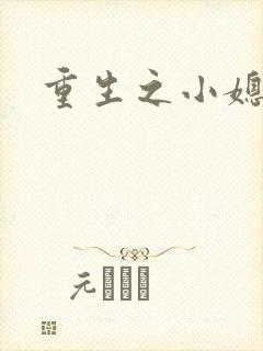 重生之小媳妇