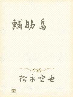 辅助岛