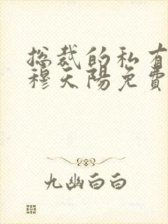 总裁的私有宝贝穆天阳免费