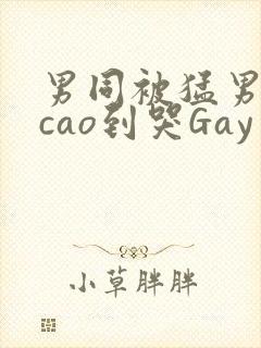 男同被猛男房东cao到哭Gay