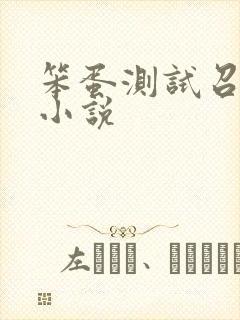 笨蛋测试召唤兽小说