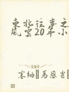 东北往事之黑道风云20年小说封面