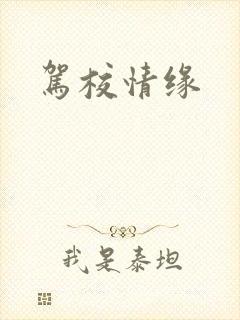 驾校情缘