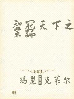智冠天下之风流军师封面