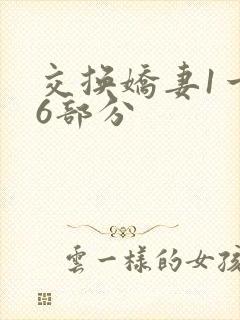 交换娇妻1一36部分