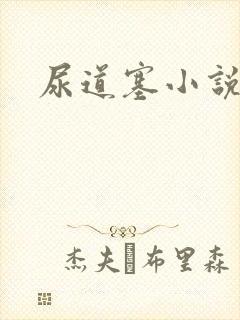 尿道塞小说