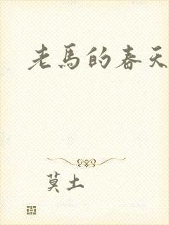 老马的春天封面